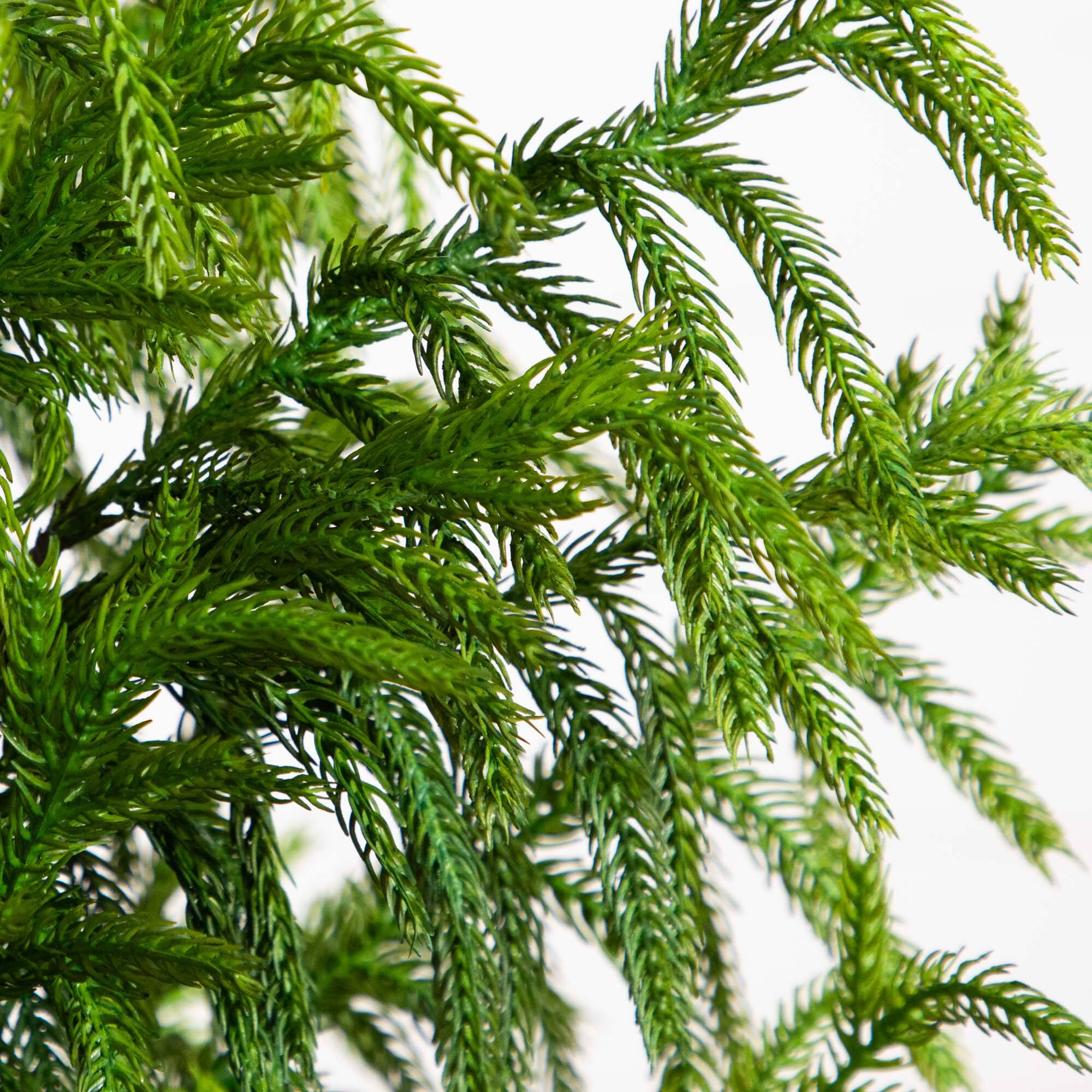 5ft. Unlit Norfolk Pine Artificial Potted Christmas Tree